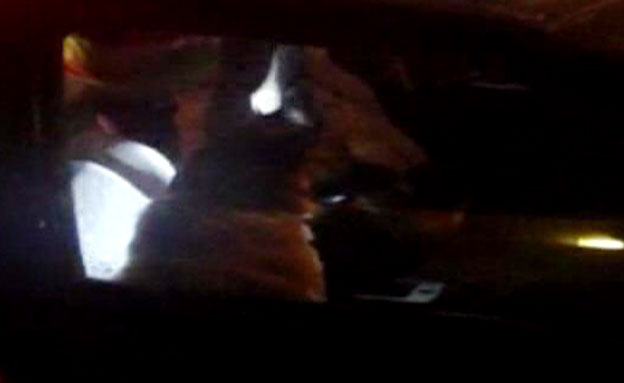 כלבה הושארה שעות ברכב חונה (צילום: חדשות 2)
