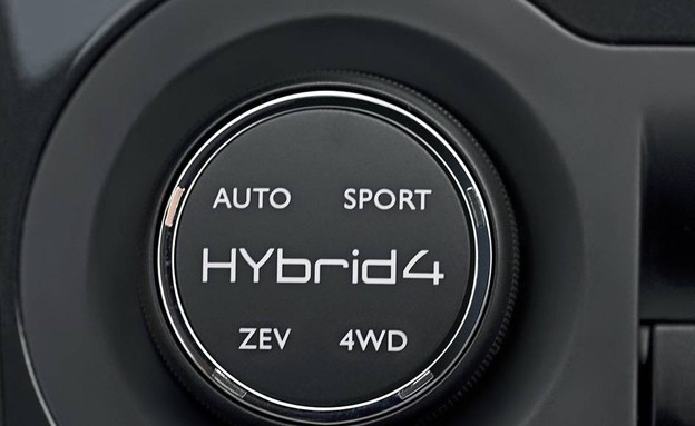 פיג'ו 3008 פיג'ו 3008