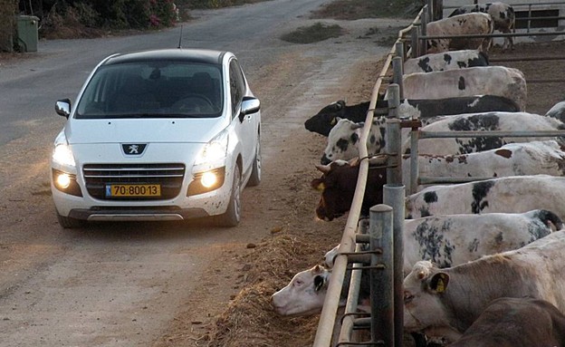 פיג'ו 3008 פיג'ו 3008