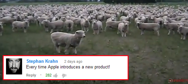 הכבשים והתגובה