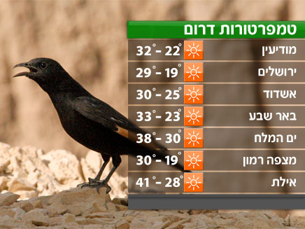 הטמפרטורות בדרום