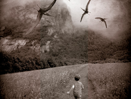 דמיון של ילד - עטלפים (צילום: צילום מסך מאתר davidniles.com )