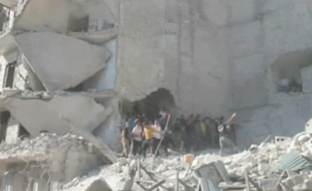הצייצנים הסורים משיבים מלחמה (תמונת AVI: mako)