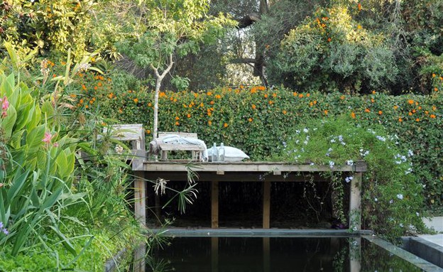 הבית הרגשי, צמחייה, אדריכלות רנה דוקטור