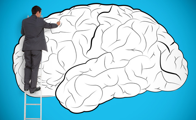 איש מצייר על מוח (צילום: אימג'בנק / Thinkstock)