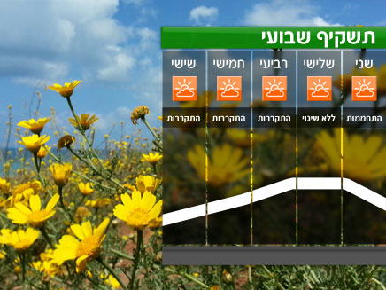 תשקיף