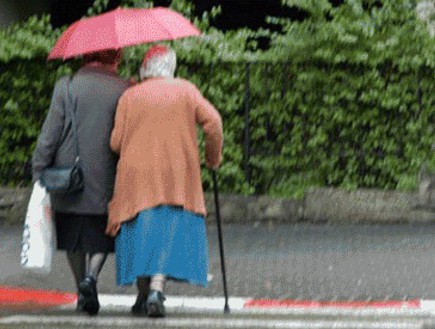 קשישים, אילוסטרציה (צילום: תמר מצפי, גלובס)