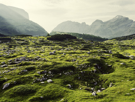 ירוק, האלפים (צילום: Lukas Furlan)