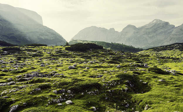 ירוק, האלפים (צילום: Lukas Furlan)