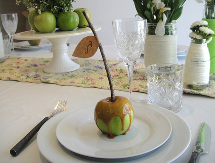 שולחן, תפוח בצלחת (צילום: דידי רפאלי)