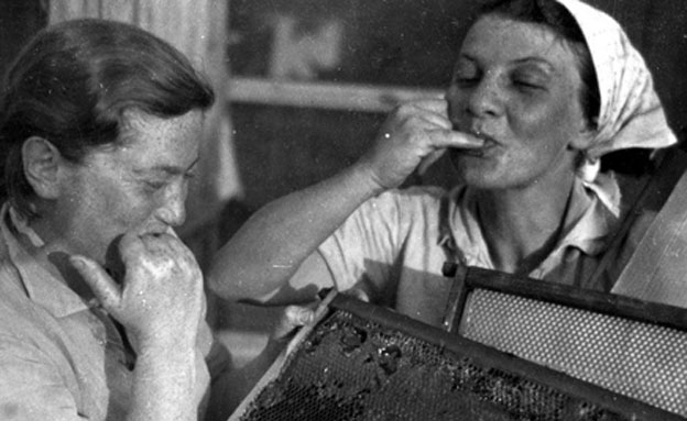 טועמים דבש מהכוורת בשנות ה-40 (צילום: ארכיון עין החורש, מתוך אתר פיקיוויקי)