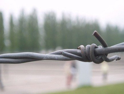 תיל במחנה ריכוז (צילום: עמית סלונים)