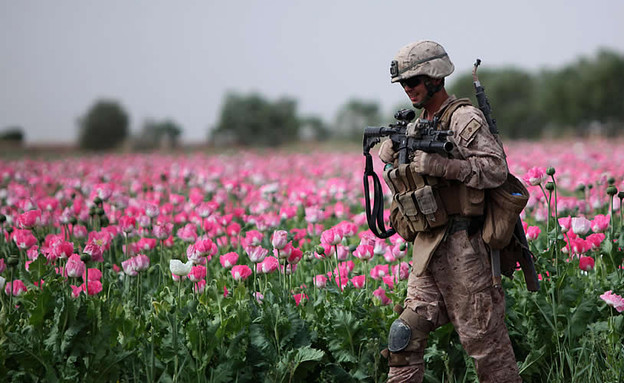 חייל בשדה פרחים באפגניסטן (צילום: ג'ון מ.מק-קול)