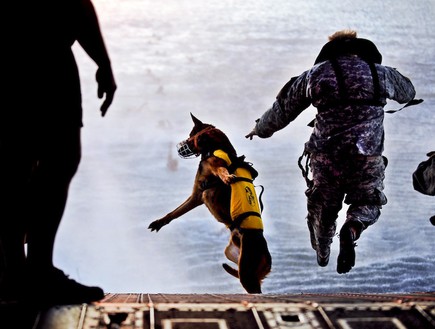 חייל וכלב קופצים ממטוס (צילום: מנואל ג' מרטינז)