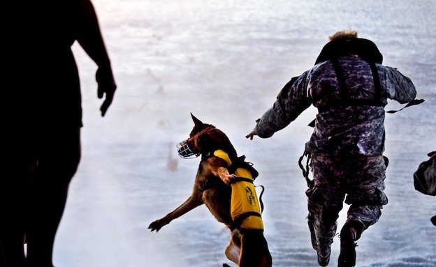 חייל וכלב קופצים ממטוס (צילום: מנואל ג' מרטינז)