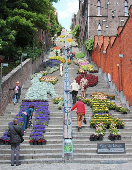 פרחים על המדרגות בבלגיה, מדרגות בעולם, קריט ויקיפדיה יוצר P3tris85 (צילום: P3tris85)