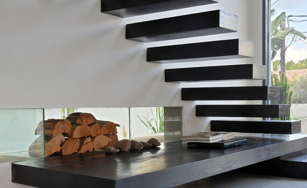 רונית טל, עצים