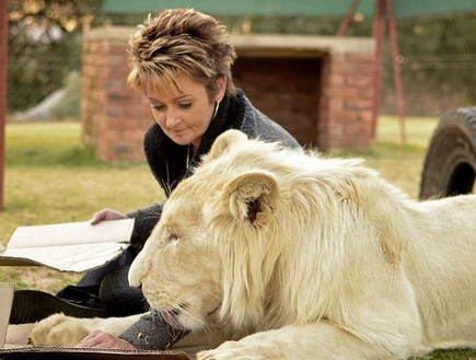 חיה עם אריה לבן (צילום: dailymail.co.uk)
