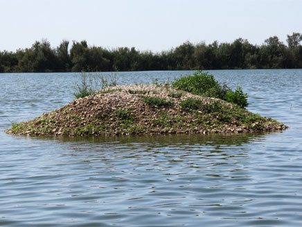 אתרי המים בעמק צרעה (צילום: דב גרינבלט, החברה להגנת הטבע)
