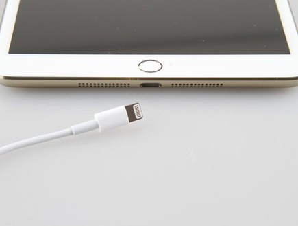 תמונה של iPad Mini 2 של אפל (צילום: פורום ZOL)