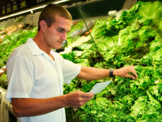 גבר קונה ירקות (צילום: istockphoto)