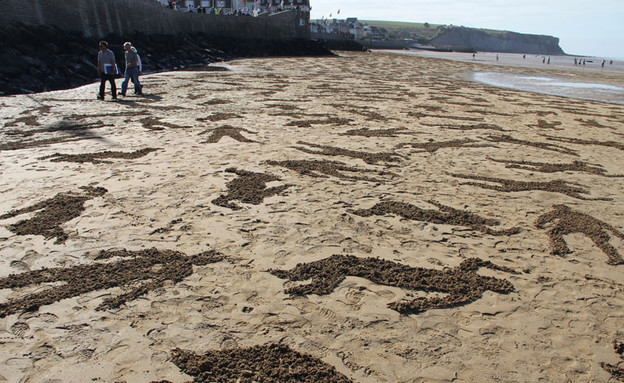 מיצגים, חוף תקריב (צילום: www.sandsculptureice.co)