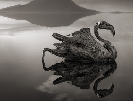 אגם נטרון בטנזניה (צילום: ניק ברנדט / gizmodo.com)