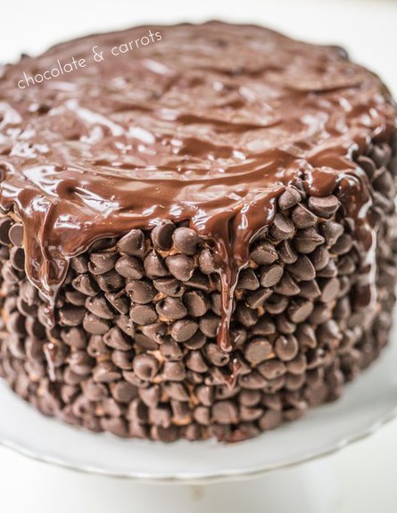עוגות שוקולד - גבוהה עם המון פצפוצים (אורך) (צילום: צילום מסך מהאתר www.chocolateandcarrots.com)