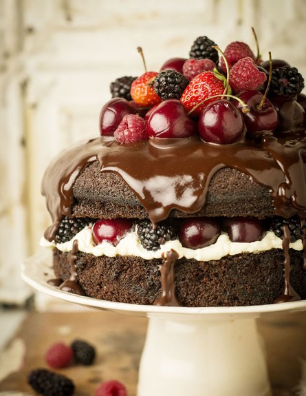 עוגות שוקולד - עפ פירות יער (אורך) (צילום: צילום מסך מהאתר www.littleboxbrownie.com)