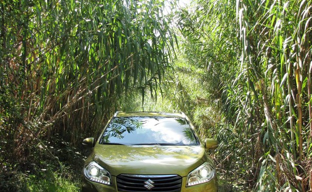 סוזוקי קרוסאובר