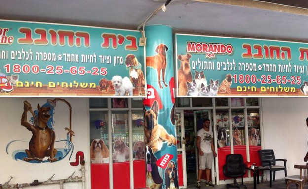 בית החובב בית החובב