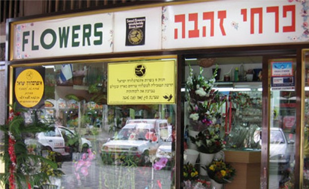 פרחי זהבה פרחי זהבה