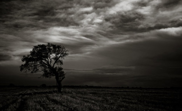 בשחור לבן, שדות בעולם (צילום: Alessandro Avenali' 1X)
