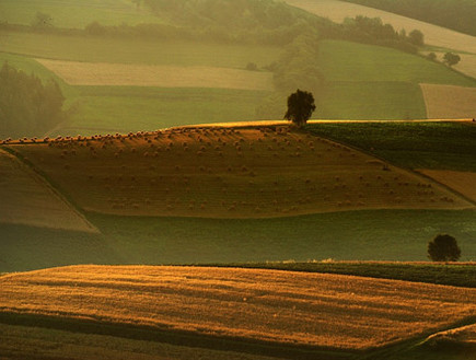 שדות בעולם 2, צלם Janusz Wanczyk, 1X (צילום: Janusz Wanczyk, 1X)
