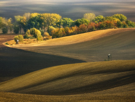 שדות בעולם, צלם Krzysztof Browko, 1X (צילום: Krzysztof Browko, 1X)