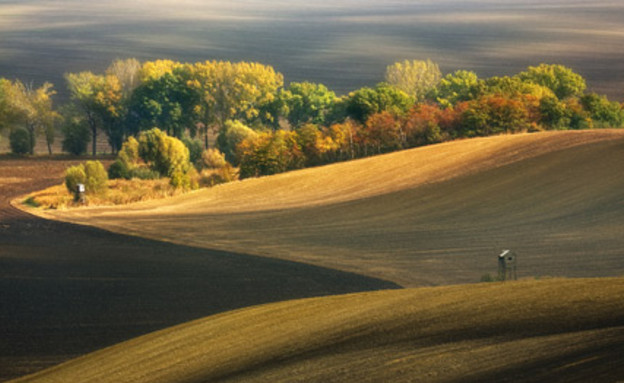 שדות בעולם, צלם Krzysztof Browko, 1X (צילום: Krzysztof Browko, 1X)