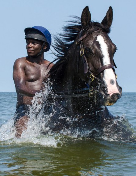 חייל רוכב על סוס במים  (צילום: דן שורט)