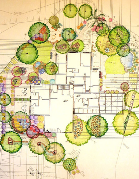 דורון שפר, תכנית עיצוב גן (צילום: שרלי וטניה אילוז, "גרדניה" )