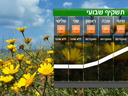 תשקיף