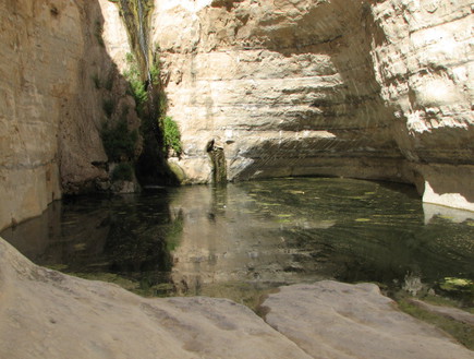 קניון עין עבדת, טיולי סתיו, צילום יוחאי כורם (צילום: יוחאי כורם)