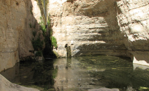 קניון עין עבדת, טיולי סתיו, צילום יוחאי כורם (צילום: יוחאי כורם)