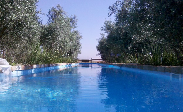 רחלי ואילן עסק זוגי