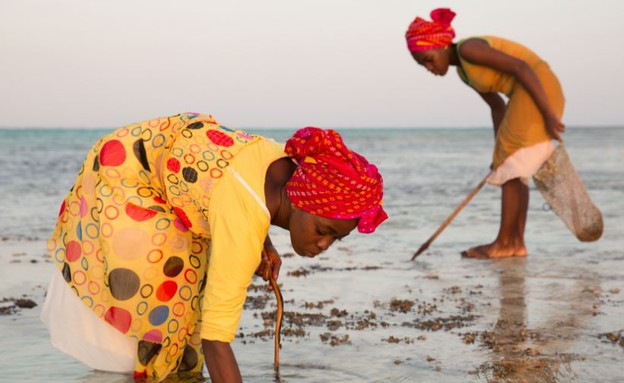 מחפשים אחרי מנת היום, מסעדת הסלע בזנזיבר מחפשים אחרי מנת היום, מסעדת הסלע בזנזיבר
