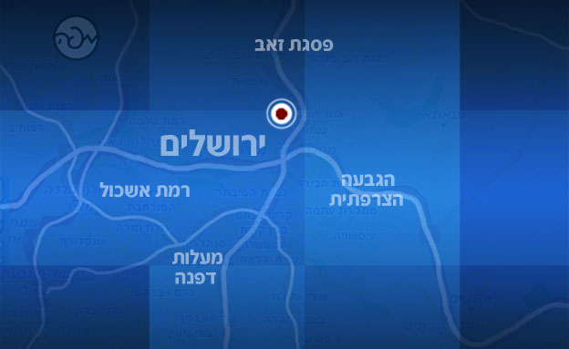 מפת האזור בו בוצע הפיגוע (צילום: mapa)