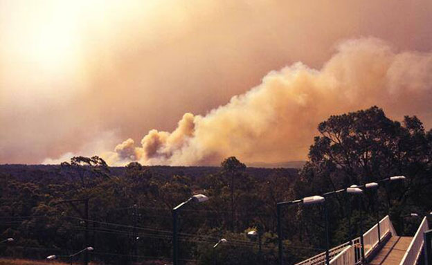 צפו: שריפות ענק משתוללות באוסטרליה (צילום: ap)