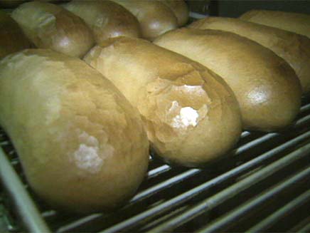 לחם (צילום: חדשות 2)