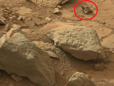איגואנה על מאדים (צילום: נאס