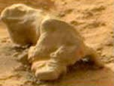 איגואנה על מאדים (צילום: נאס"א)