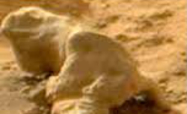 איגואנה על מאדים (צילום: נאס"א)