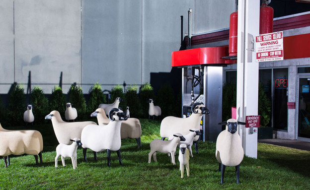 תחנות דלק, כבשים בלבן (צילום: gettystation )